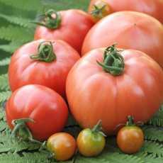 Przepis na Pomidory najlepsze... bo własne :)