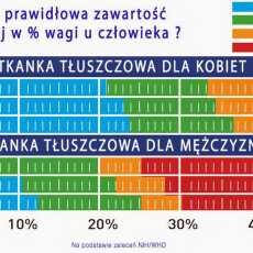 Przepis na ..:: Tkanka tłuszczowa i jej oblicza ::..