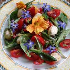 Przepis na Kwitnąca sałatka z mozzarellą i pomidorkami