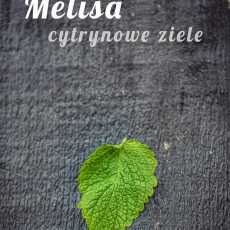 Przepis na Melisa - cytrynowe ziele. 