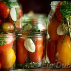 Przepis na Kiszone pomidory czyli przetworów pomidorowych ciąg dalszy