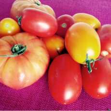 Przepis na Aromatyczna sałatka pomidorowa z czosnkiem