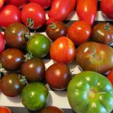 Przepis na Pyszne kolorowe pomidory!