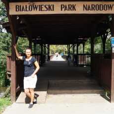 Przepis na Białowieski Park Narodowy