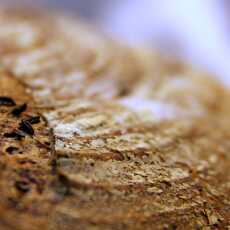 Przepis na Projekt chleb [level 5]: pszenno-żytni razowy na odwrót. I słowo o składaniu bochna