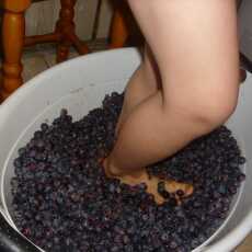 Przepis na Wino z ciemnych winogron
