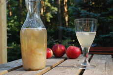 Przepis na Apelkold – nektar ze świeżych jabłek z miodem i lodem