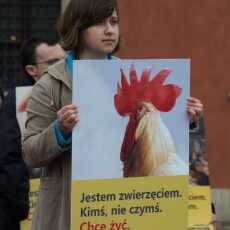 Przepis na Warto uczestniczyć - Tydzień Weganizmu