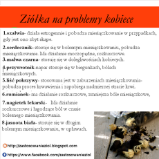 Przepis na Zioła na problemy w miesiączkowaniu