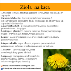 Przepis na Naturalne sposoby w zwalczaniu kaca