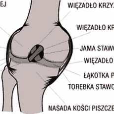 Przepis na Dieta na stawy