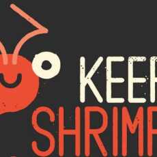 Przepis na O czym będzie blog Smiling shrimp?