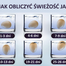 Przepis na świeżość jajka