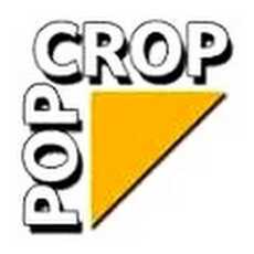 Przepis na Piramidki POPCROP - recenzja