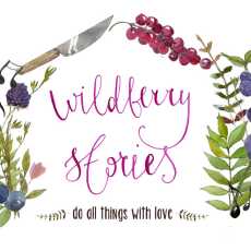 Przepis na Wildberry stories 