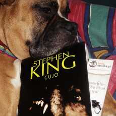 Przepis na CUJO - Stephen King - wściekłe myśli psa po kontakcie z nietoperzem.