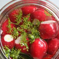 Przepis na KISZONE RZODKIEWKI