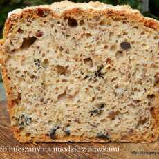 Przepis na Chleb mieszany na miodzie z oliwkami - sierpniowa piekarnia