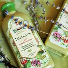 Przepis na Kosmetyczni Ulubieńcy - Wzmacniający szampon i odżywka z saponinami brzozy firmy Recepty Babci Agafii