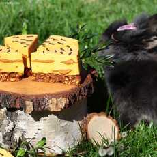 Przepis na Sernik marchewkowo-orzechowy (bez glutenu, laktozy, cukru białego, bez pieczenia)