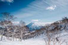 Przepis na Japan Travel Guide: Niseko Loft