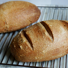 Przepis na Chleb powszedni pszenno- żytni