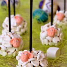 Przepis na Cake pops owieczki