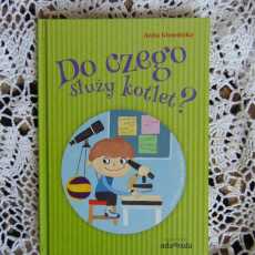 Przepis na Do czego słuzy kotlet? recenzja książki.