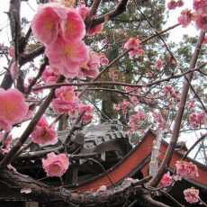 Przepis na Opowieści z Japonii #6: Nara w zdjęciach