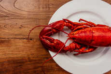 Przepis na Creamy Lobster Pasta Recipe