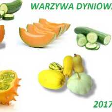 Przepis na Zaproszenie do akcji kulinarnej 'Warzywa dyniowate 2017'