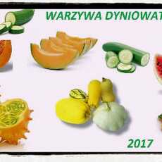 Przepis na Podsumowanie akcji kulinarnej: 'Warzywa dyniowate 2017'