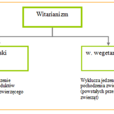 Przepis na Witarianizm w pigułce
