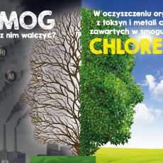 Przepis na Chlorella w walce ze smogiem