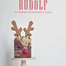 Przepis na Rudolf (Deer cake) - torcik czekoladowy z korzennym kremem i żurawiną