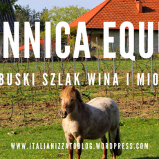 Przepis na Wino+rower || Winnica Equus