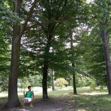 Przepis na Zielone atrakcje Łódź i okolice (Arboretum w Rogowie) 