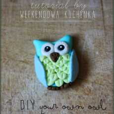 Przepis na Do Your Own Owl - DIY, jak zrobic sowę z modeliny