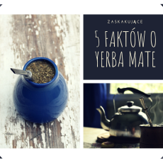 Przepis na 5 faktów o yerba mate