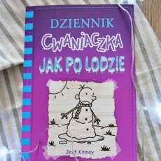 Przepis na Dziennik Cwaniaczka jak po lodzie - recenzja książki. 