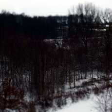 Przepis na Ostatni dzień w roku zimowo w lesie. 