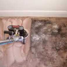 Przepis na Carpet Cleaning Houston TX 