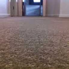 Przepis na Carpet Cleaners Los Angeles 