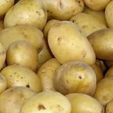 Przepis na Sposób na kiełkujące ziemniaki