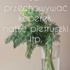 Przepis na Jak przechowywać koperek i inną zieleninę (nawet do 2 tygodni) ??