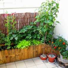 Przepis na Ogródek na balkonie - inspiracje