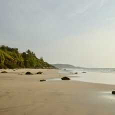 Przepis na Nadziewane kalmary na pustych plażach wybrzeża Konkan.