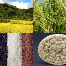 Przepis na Dieta ryżowa - oczyszcza i odchudza