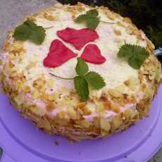 Przepis na Tort truskawkowy i moje magnolie:-)